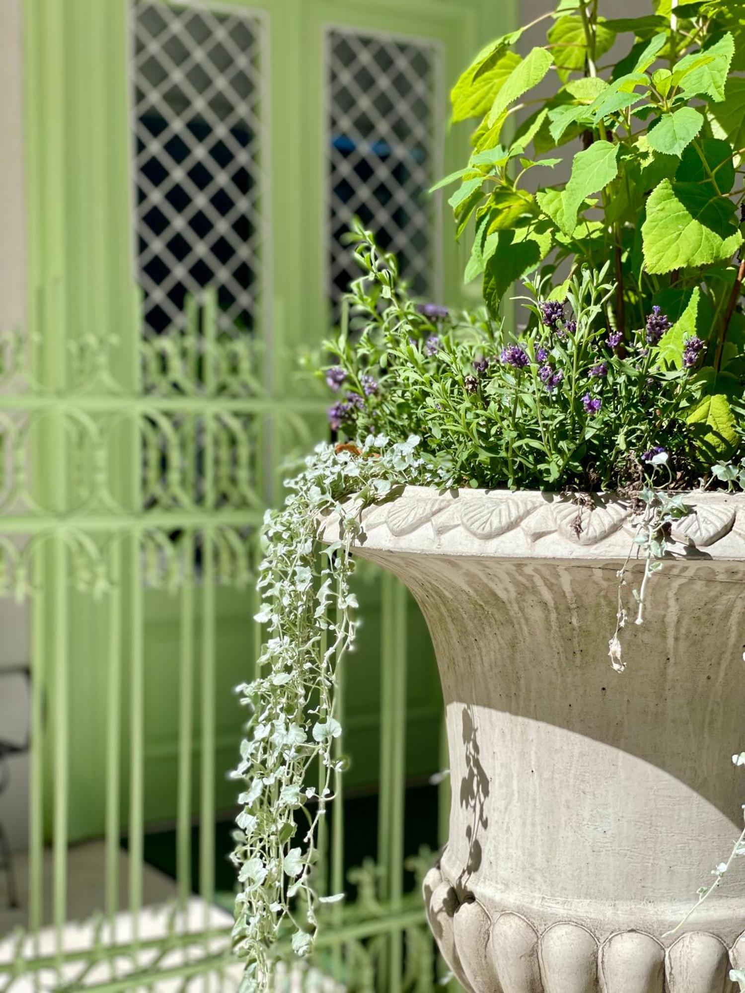 Villa Wickenburg Salzburg Bagian luar foto